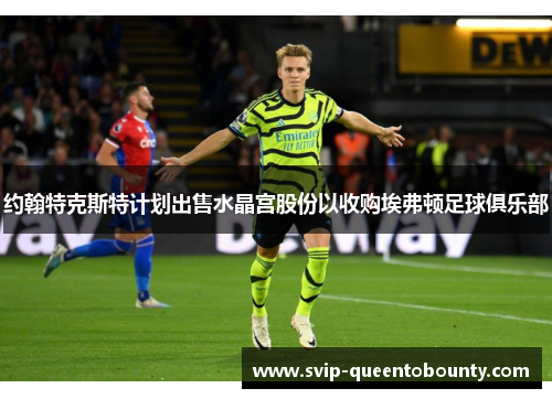 约翰特克斯特计划出售水晶宫股份以收购埃弗顿足球俱乐部